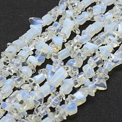 Opalite Beads Strands, Chip, Clear, 3~5x7~13x2~4mm, Hole: 0.4mm, 34.9 inch(X-G-F328-11)