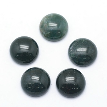 Natural Moss Agate Cabochons, Half Round, 12x5~6mm