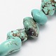 Natural Magnesite Beads Strands(TURQ-P027-65)-1
