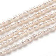 Natural Cultured Freshwater Pearl Beads Strands, Rice, White, 5~6x4mm, Hole: 0.6mm, about 60pcs/strand, 13.78 inch(35cm)(PEAR-L033-58-01)
