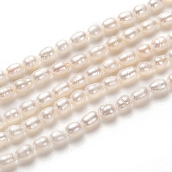 Natural Cultured Freshwater Pearl Beads Strands, Rice, White, 5~6x4mm, Hole: 0.6mm, about 60pcs/strand, 13.78 inch(35cm)