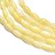 eau douce naturelle de coquillage perles brins(SHEL-C010-01B)-2