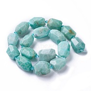 Natural Amazonite Beads Strands, Faceted, Polygon, 19~22x12~18mm, Hole: 1.5mm, about 16~17pcs/strand, 15.15 inch~16.14 inch(38.5~41cm)(G-P434-35)