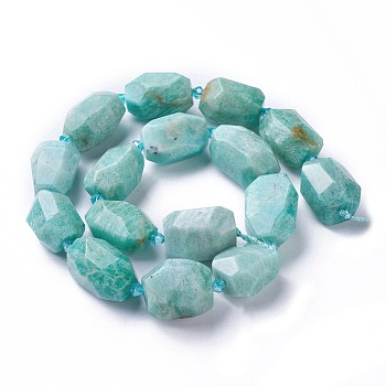 Natural Amazonite Beads Strands, Faceted, Polygon, 19~22x12~18mm, Hole: 1.5mm, about 16~17pcs/strand, 15.15 inch~16.14 inch(38.5~41cm)