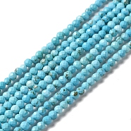 Natural Howlite Beads Strands, Dyed, Faceted, Round, Deep Sky Blue, 3mm, Hole: 0.8mm, about 130~133pcs/strand, 15.39~15.75 inch(39.1~40cm)(G-C025-03B-02)