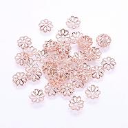 Long-Lasting Plated Brass Fancy Bead Caps, Multi-Petal, Real Rose Gold Plated, Flower, Rose Gold, 8x1mm, Hole: 1mm(KK-F711-01RG)