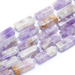 Natural Amethyst Beads Strands, Rectangle, Faceted, Alice Blue, 27~29x13~14x6~7mm, Hole: 1.5mm, about 12pcs/Strand, 14.96 inch(38cm)(G-E530-16R)