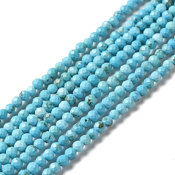 Natural Howlite Beads Strands, Dyed, Faceted, Round, Deep Sky Blue, 3mm, Hole: 0.8mm, about 130~133pcs/strand, 15.39~15.75 inch(39.1~40cm)