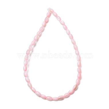 Dyed Natural Freshwater Shell Beads Strands(SH-CBA2978-06D)-3