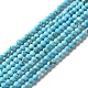 Natural Howlite Beads Strands(G-C025-03B-02)-1