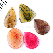 Natural Crackle Agate Pendants, Dyed, Mixed Shape, Mixed Color, 48~57x33~45x5.5~6.5mm, Hole: 2mm(G-S208-01)