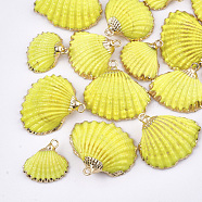 Spray Paint & Electroplate Sea Shell Pendants, with Iron Findings, Light Gold, Yellow, 16~26x17~28x7~10mm, Hole: 2mm(SSHEL-S262-08I)