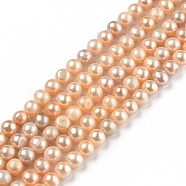 Natural Cultured Freshwater Pearl Beads Strands, Round, Dark Orange, 5~6x5.5~6mm, Hole: 0.6mm, about 70pcs/strand, 15.55 inch(39.5cm)(PEAR-L033-08B-01)
