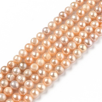 Natural Cultured Freshwater Pearl Beads Strands, Round, Dark Orange, 5~6x5.5~6mm, Hole: 0.6mm, about 70pcs/strand, 15.55 inch(39.5cm)