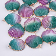 Spray Paint & Electroplate Sea Shell Pendants, with Brass Findings, Golden, Plum, 35~50x31~41x12~17mm, Hole: 1.5mm(SSHEL-S261-04B)