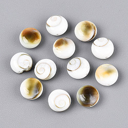 Natural Shiva Eye Shell Beads, Rondelle, Seashell Color, 8x4.5~5mm, Hole: 0.8~0.9mm(BSHE-T014-33A)