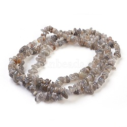 Natural Labradorite Beads Strands, Chip, 4~18x3~10mm, Hole: 0.5mm, 33.9 inch(86cm)(G-F575-10)