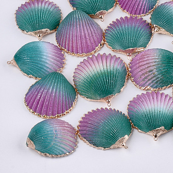 Spray Paint & Electroplate Sea Shell Pendants, with Brass Findings, Golden, Plum, 35~50x31~41x12~17mm, Hole: 1.5mm