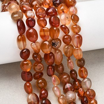 Natural Red Agate Beads Strands, Nuggets, Tumbled Stone, 6~10x6~8x4~5mm, Hole: 1mm, about 28~30pcs/strand, 7.87''(20cm)