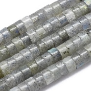 Natural Labradorite Beads Strand, Flat Round/Disc, 4x2mm, Hole: 0.7mm, about 167pcs/strand, 15.35 inch(39cm)(G-A177-01L-04)