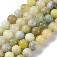 Natural New Jade Beads Strands, Round, 10mm, Hole: 1.2mm, about 38pcs/strand, 15.20''(38.6cm)(G-F591-16-10MM)