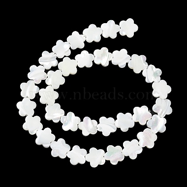 Natural Trochus Shell Beads Strands(BSHE-E030-07)-3