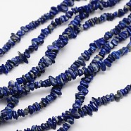 Chips Natural Lapis Lazuli Beads Strands, 3~8x3~12x3~5mm, Hole: 1mm, about 32 inch(X-G-N0164-46)