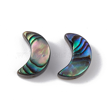 Natural Abalone Shell/Paua Shell Beads(SSHEL-M021-05)-2