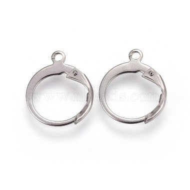 Stainless Steel Color Stainless Steel Leverback Earring Findings