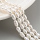 Natural Cultured Freshwater Pearl Beads Strands(PEAR-P062-06E)-2