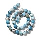 Natural Gemstone Beads Strands(G-F730-02C)-3