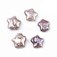 Natural Baroque Keshi Pearl Beads, Freshwater Pearl Beads, No Hole, Star, Thistle, 11.5~14x12~14.5x4~7mm(PEAR-N020-P21)