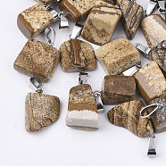 Natural Picture Jasper Pendants, with Stainless Steel Snap On Bails, Nuggets, 15~35x10~20x5~15mm, Hole: 3x7.5mm(G-Q996-07)