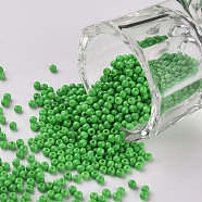 11/0 Grade A Round Glass Seed Beads, Baking Paint, Light Green, 2.3x1.5mm, Hole: 1mm, about 48500pcs/pound(SEED-N001-A-1070)