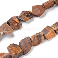 Natural Tiger Eye Beads Strands, Rough Raw Stone, Nuggets, 11~25x11~20mm, Hole: 1.2mm, about 12~15pcs/strand, 7.48 inch~7.87 inch(19~20cm)(G-I283-E02)