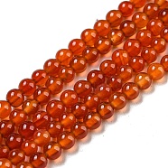Natural Carnelian Beads Strands, Dyed, Round, 3mm, Hole: 0.5mm, about 130pcs/strand, 16.3 inch(G-S281-50C-3mm)