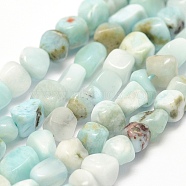 Natural Larimar Beads Strands, Nuggets, 3~5x4~5mm, Hole: 0.5mm, 15.7 inches(40cm)(G-P302-02)