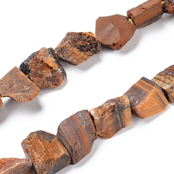Natural Tiger Eye Beads Strands, Rough Raw Stone, Nuggets, 11~25x11~20mm, Hole: 1.2mm, about 12~15pcs/strand, 7.48 inch~7.87 inch(19~20cm)