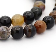 Natural Petrified Wood Round Bead Strands, 3mm, Hole: 0.6~0.7mm, about 135pcs/strand, 15.7 inch(G-P070-69-3mm)