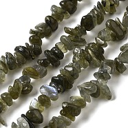 Natural Labradorite Beads Strands, Chip, 5~11x4~7x1~5mm, Hole: 1mm, 33.86 inch(86cm)(G-F771-B01-01)