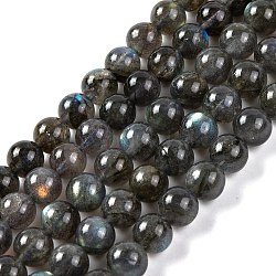 Grade AA Natural Gemstone Labradorite Round Beads Strands, 6mm, Hole: 0.8mm, about 62pcs/strand, 15.55 inch(39.5cm)(G-E251-33-6mm-02)