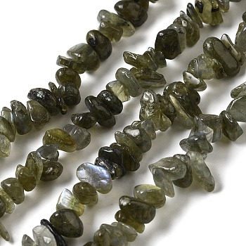 Natural Labradorite Beads Strands, Chip, 5~11x4~7x1~5mm, Hole: 1mm, 33.86 inch(86cm)