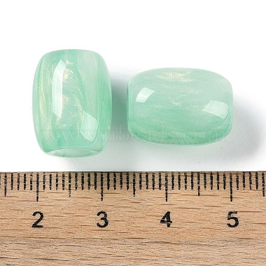 Resin European Beads(RESI-F055-11A)-3