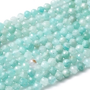 Natural Amazonite Bead Strands, Faceted Round, 3mm, Hole: 0.8mm, about 118~130pcs/strand, 15.4 inch(X-G-A129-3mm-20)