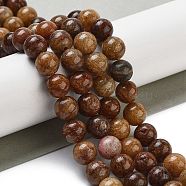 Natural Gemstone Beads Strands, Round, 8~8.5mm, Hole: 1mm, about 46pcs/strand, 14.76''(37.5cm)(G-H045-A01-8MM)