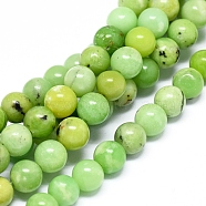 Natural Serpentine Beads Strands, Round, 6mm, Hole: 1mm, about 68pcs/strand, 15.7 inch(40cm)(G-F576-01-6mm)