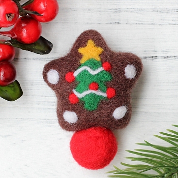 Christmas Theme Star Brooch Cactus Needle Felting Kit, including Instructions, 1Pc Foam, 4Pcs Needles, 5 Colors Wool, 1Pc Brooch Finding, Mixed Color, 25~115x5~85x2~29mm