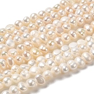 Natural Cultured Freshwater Pearl Beads Strands, Two Side Polished, Grade 4A, Seashell Color, 5x5~5.5x4~5mm, Hole: 0.6mm, about 74pcs/strand, 14.65~14.76''(37.2~37.5cm)(PEAR-E017-24)