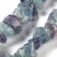 Raw Rough Natural Fluorite Beads Strands, Nuggets, 9~17x7~16x8~14mm, Hole: 0.9mm, about 21~25pcs/strand, 7.09''~7.87''(18~20cm)(G-P528-A08-01)