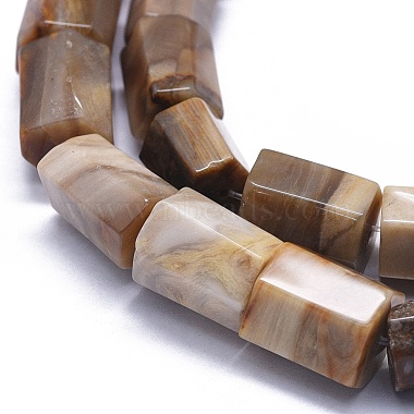 Natural Petrified Wood Beads Strands(G-K293-J02-E)-3